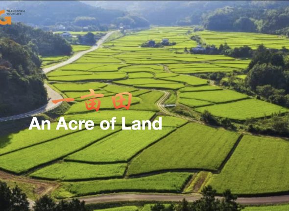 Screenshot 2025-11-20 at 10.26.35 PM